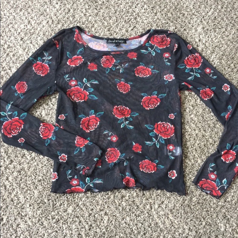 Sheer rose long sleeve